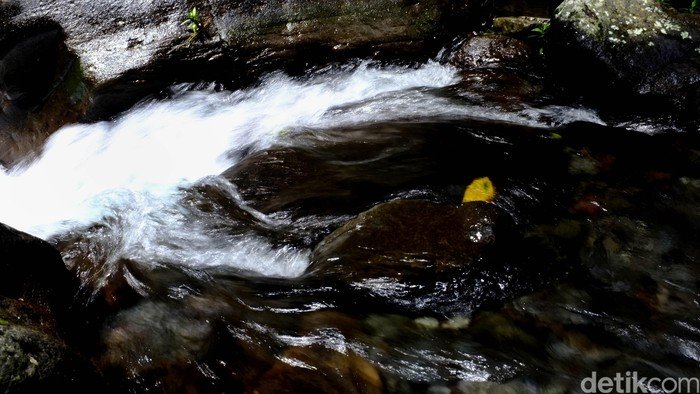 Aksi Polisi di BSD Selamatkan Remaja yang Hilang Loncat ke Sungai: Kisah Penyelamatan yang Mengejutkan!