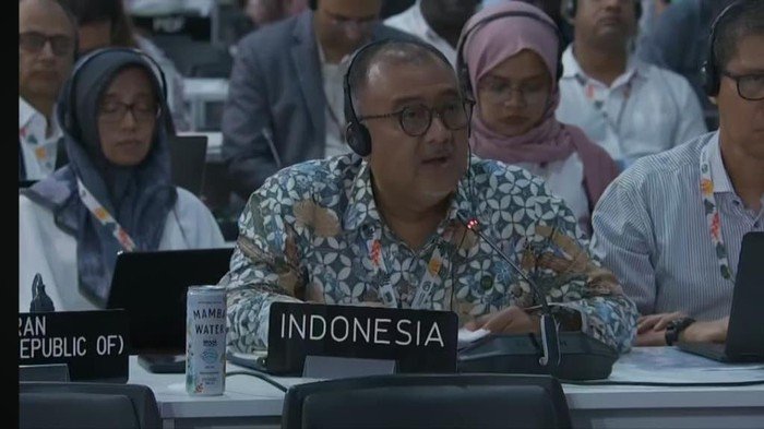 RI Sayangkan Usulan soal Istilah Gender Tak Diadopsi di COP30 Brasil, Ancam Perundingan Internasional