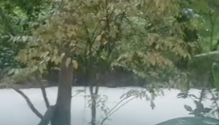 Buntut Panjang Kebakaran Pabrik Pestisida di Tangsel: Sungai Tercemar dan Proses Penanggulangan yang Mengerikan