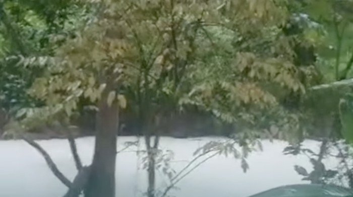 Buntut Panjang Kebakaran Pabrik Pestisida di Tangsel: Sungai Tercemar dan Proses Penanggulangan yang Mengerikan