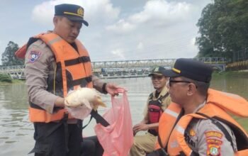 20 Ton Pestisida Terbakar, KLH Sebut Sungai di Tangerang Kini Beracun!