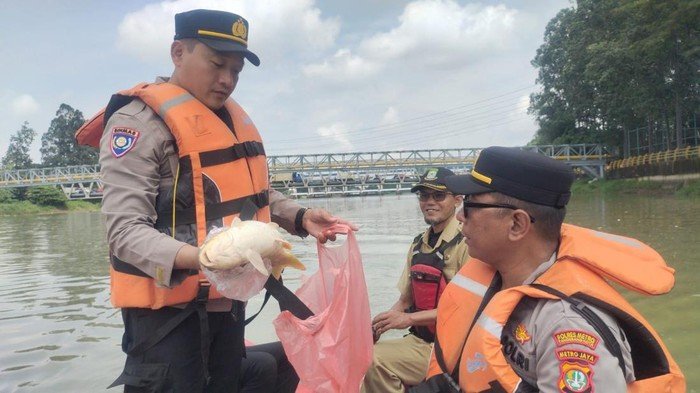 20 Ton Pestisida Terbakar, KLH Sebut Sungai di Tangerang Kini Beracun!