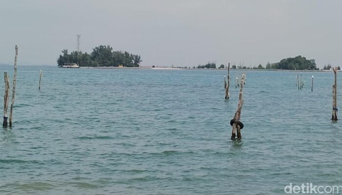 Waspada! Banjir Rob Mendatang, Pesisir RI Siapakah yang Aman?