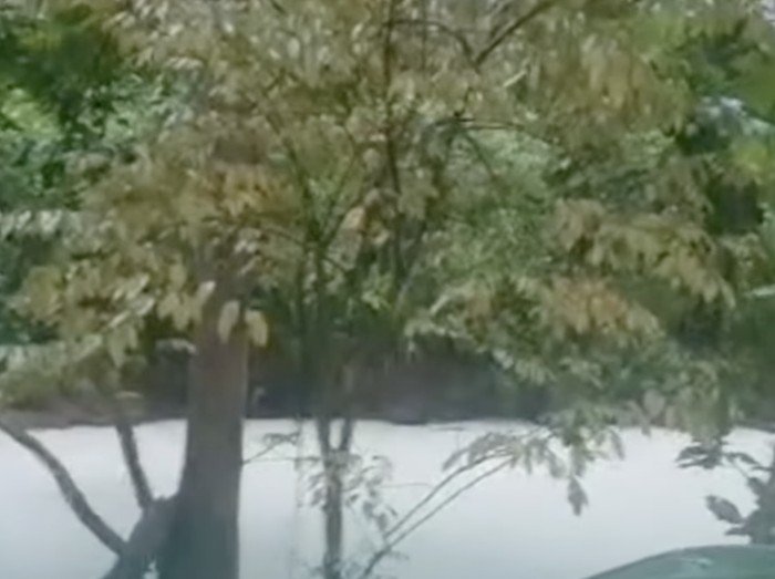 Data dan Angka di Kasus Sungai Cisadane Tercemar Pestisida: Bencana Ekologis Akibat Kebakaran PT Biotek