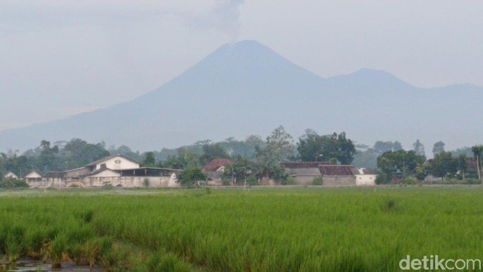 Gunung Semeru Kembali Meneror, Awan Panas Terjang 6 Km!