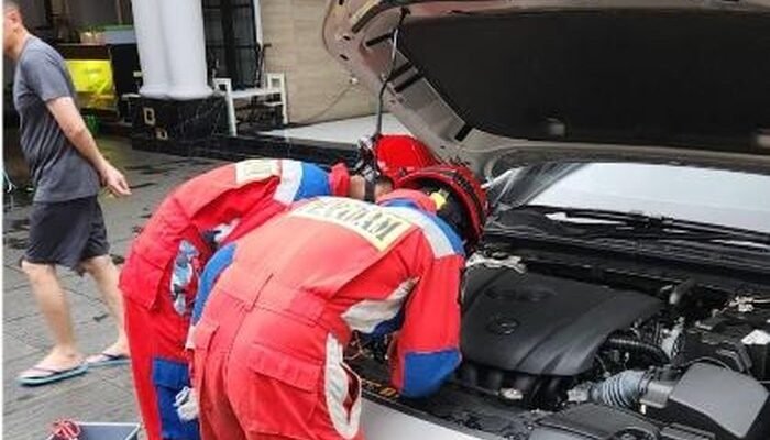 Cari Sanca Albino, Warga Jaktim Ditemukan di Kap Mobil, Misteri Terungkap!