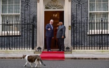 “Larry, Kucing yang ‘Sambut’ Prabowo di Inggris, Merayakan 15 Tahun Sebagai PNS Downing Street”