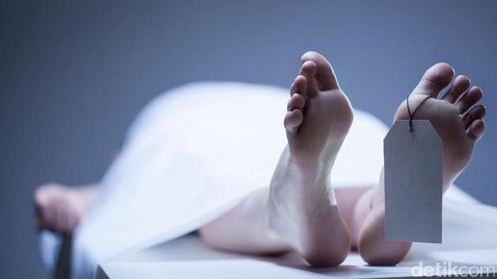 Truk Kontainer Timpa Mobil di Karawang, 3 Orang Tewas: Ini Penyebabnya