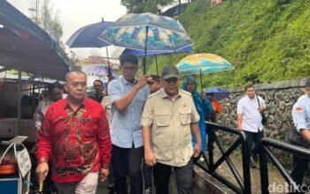 Banjir Bandang Tegal: Muzani Mencari Jawaban di Balik Penebangan Hutan