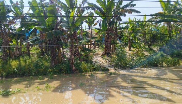 Bencana Banjir Menerjang 34 Desa di Grobogan, 5.214 Keluarga Dihantam