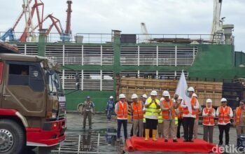 Sapi Australia Banjiri Jakarta, Pemprov Impor 3.100 Ekor di Tahap Awal!