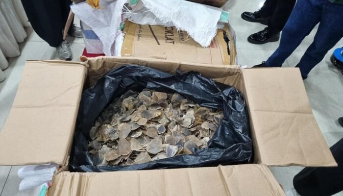 **Sisik Trenggiling Senilai Rp183 Miliar Ditemukan di Tanjung Priok**