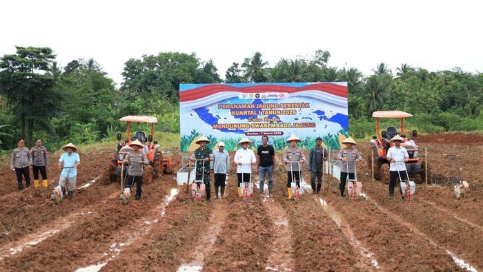 Kapolda Banten Ungkap: Bulog Serap 2.997 Ton Hasil Panen pada 2025, Apa Artinya bagi Petani?
