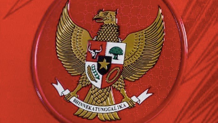 Skuad Timnas Indonesia Didominasi Pemain Super League: Persija dan Dewa United Menjadi Tumpuan Besar